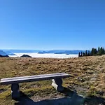 Waldzeit