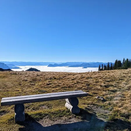 Waldzeit