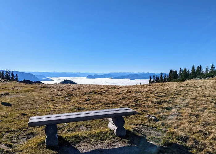 Waldzeit