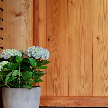 Waldzeit Apartament *